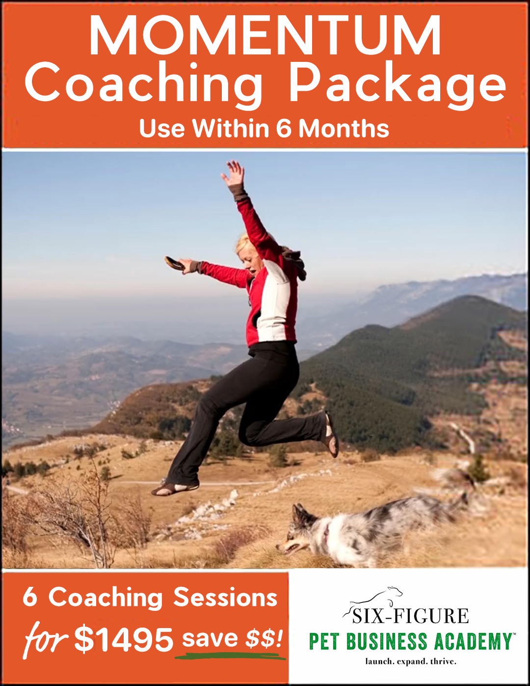 momentum coaching package