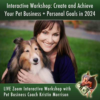 Mid-Year 90-Minute Workshop: Pet Burnout Recovery & Personal Life Reboot